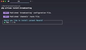 Laravel Broadcasting Installation